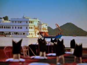 Raasleela Luxury Camp, Udaipur