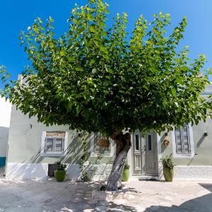 Mounouria House Koskinou