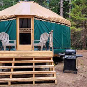 Allie Mae Yurt nestled in the woods