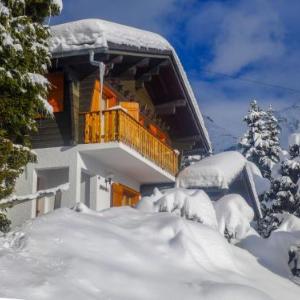 Chalet Biquinou