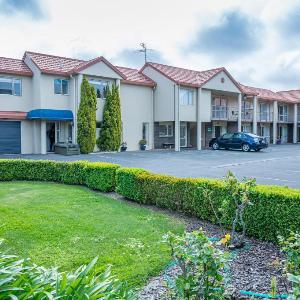 Daffodil Apartments