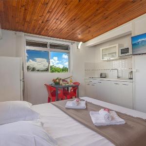 Studio 203 - L’Hibiscus