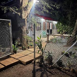 The Tamarind Tree 2