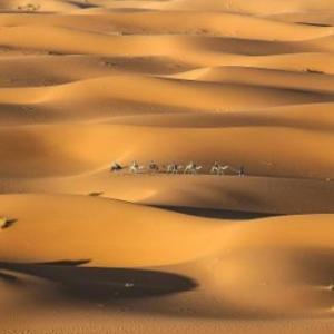 desert camp sahara luxury