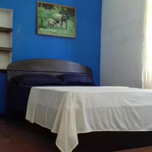 Minu Homestay & Villa