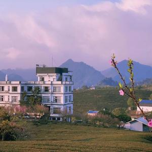 Mộc Sương Hotel