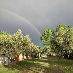 12 Olivos Cabañas