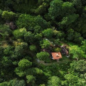 Mahout Resort