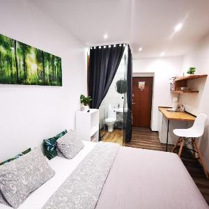 S10 Urban studio apartment