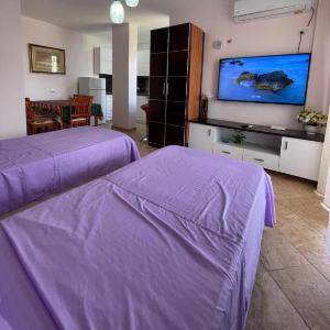 Apartament 1+1