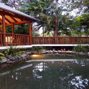 A Tropical Treat - Sea Level Port Douglas
