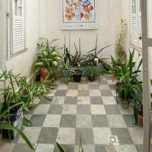 Hostel Canto Zen