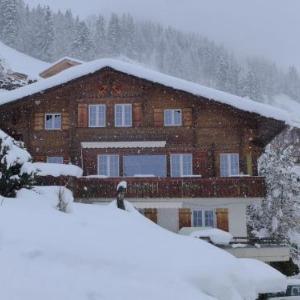 Apartment Chalet Seeberg