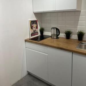 Torun Bridge Apartament