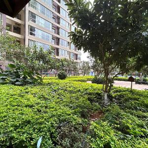 Annie Apart ment 2602-only 150 meters from Metro Line 2 Exit of Chuanxingulou