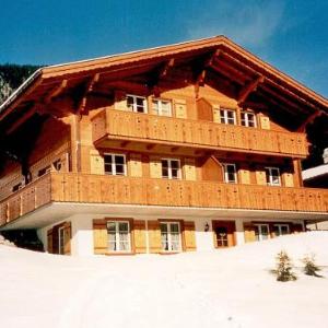 Apartment Chalet Mittelhorn-1