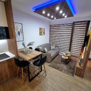 Luxury Apartment Borovi 2