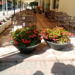 Hotel Ribot