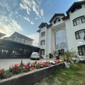 Hotel Golden bees gym & spa