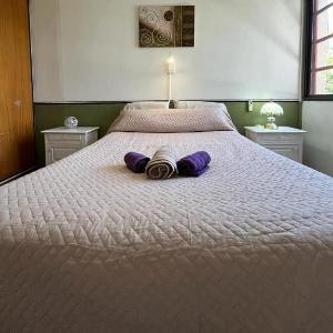 Departamento en Mendoza parque central -Mijo-