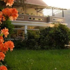 Hotel Crismalu - Centro