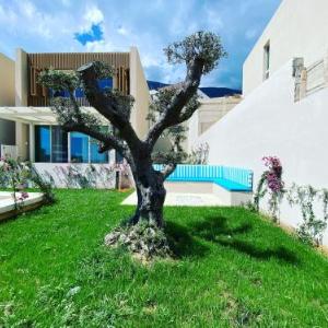 Seaclusion Villa Palase - Heated Pool & Jacuzzi