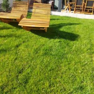 Strasbourg Terrasse 100 m2 Garage et Tram