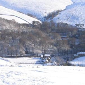 The Lantern Pike Inn