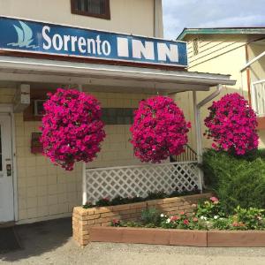 Chase Hotels Deals At The 1 Hotel In Bc Canada Soro Inn Motel