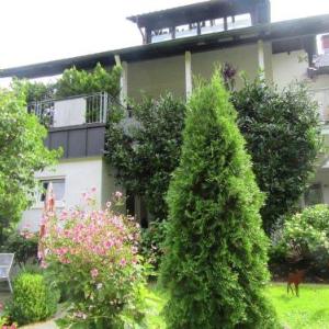 Beautiful Apartment in Weisenbach near River