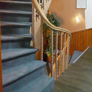 Men's Hostel in Fatih Istanbul