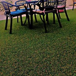 Solima pyramids inn