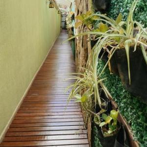 Garden Loft