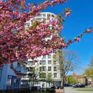 visit baltic - Platan Tower Grey