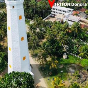 Triton Dondra
