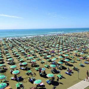 Luminous flat 80m from the beach - Beahost