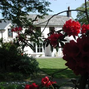 Cefn-y-Dre Country House