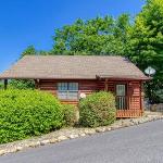 Strawberry Fields Indoor resort Pool WIFI 560 FREE tickets each paid day Sevierville Tennessee