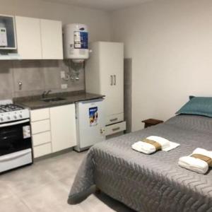 APARMENT Paraguay 341