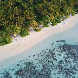 Plumeria Maldives