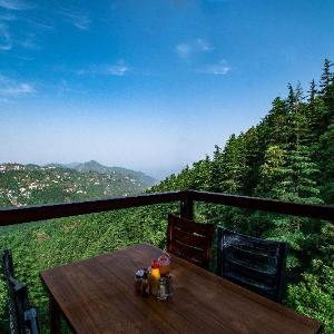 The Tattva Landour