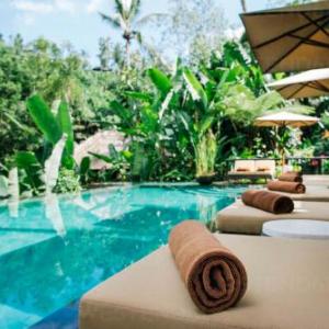Paradise Villa