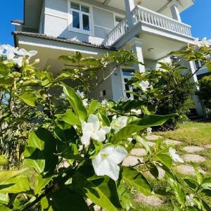 Bamboo Villa (Sealinks City)