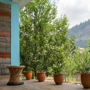 Jal Vayu - Homestay in midst of mountains & rivers