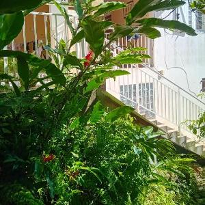 Appartement charmant en centre-ville de Sainte-Luce 80 m² + vue