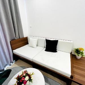 Vinhomes D'capitale studio