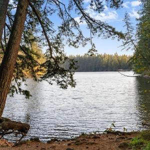 House near Lake w Beautiful Acres to Explore