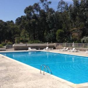 Sublime studio with large terrace and pool