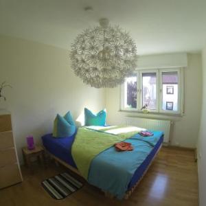 Apartment Avanzato