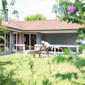 Reiher 24